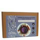 Enchanted Dreams - Magic Potion Kit