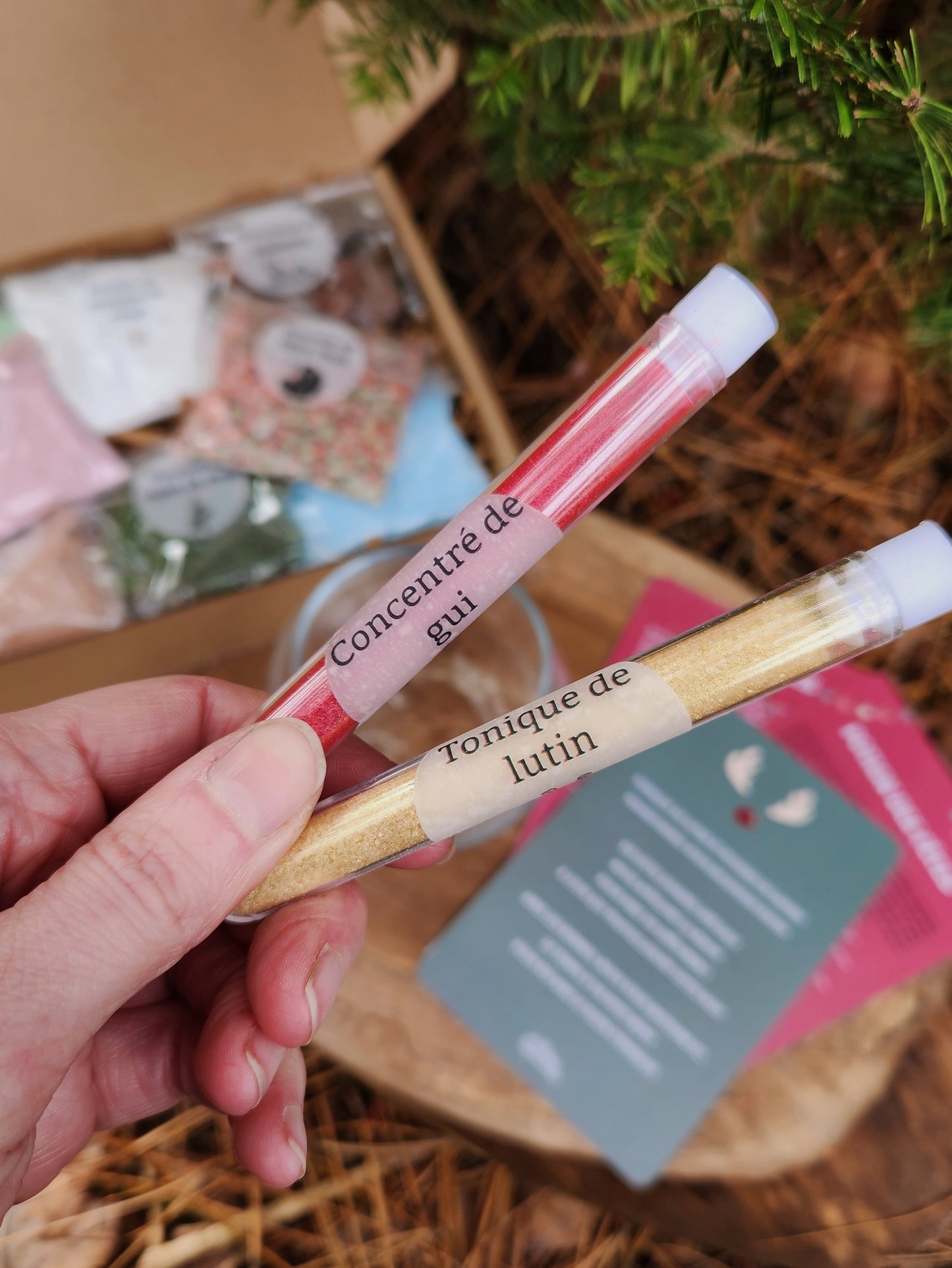Potion magie des fêtes - Coffret régulier - Édition limitée