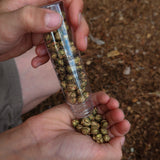 School of Wizardry - Magic Potion Kit