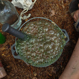 School of Wizardry - Magic Potion Kit