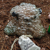 School of Wizardry - Magic Potion Kit