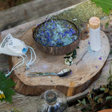 Potion Party - Extra Little Wizard