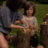 Fairy Dust - Magic Potion Kit