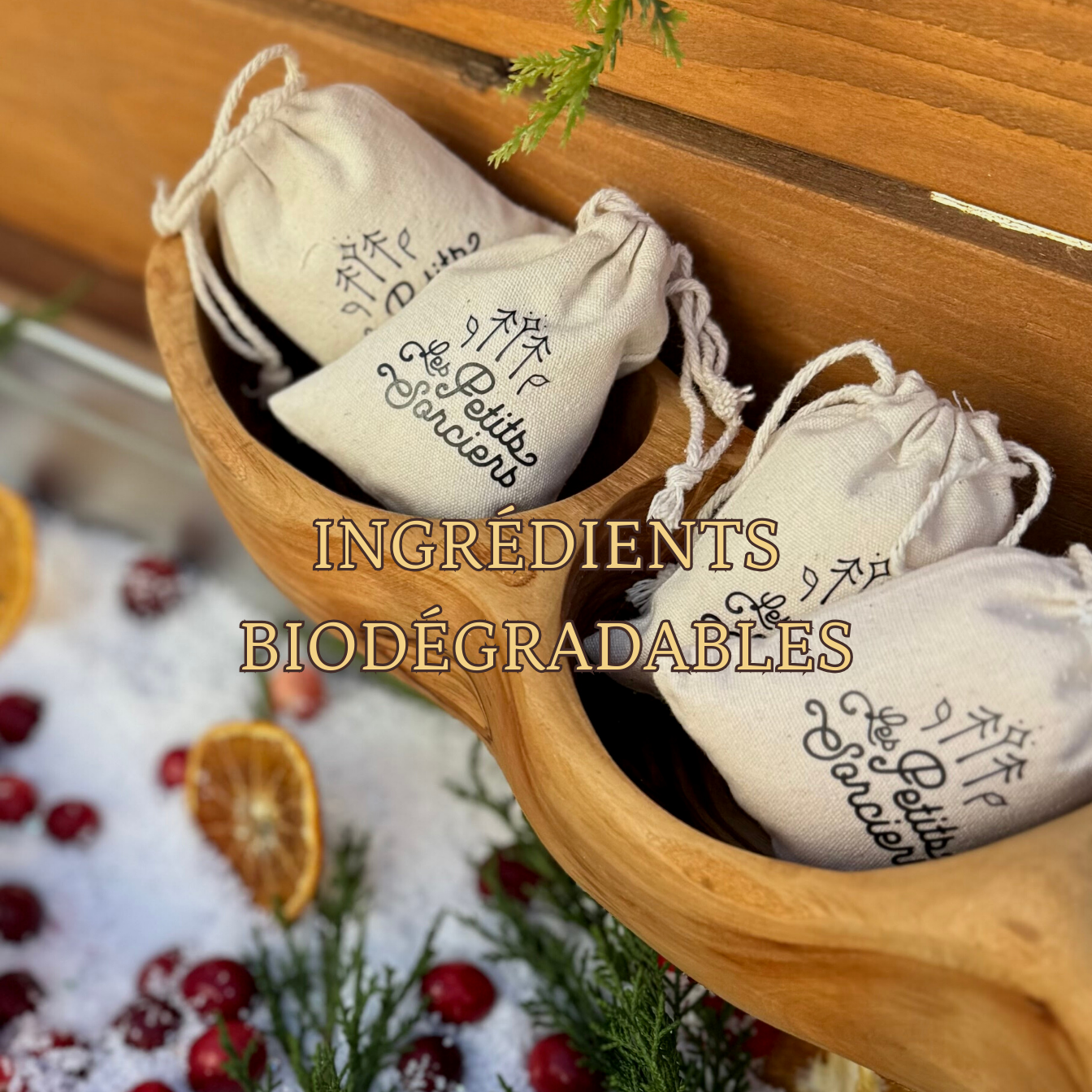 Image de diapositive